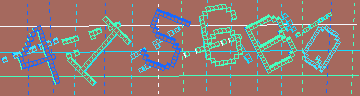 確認代碼