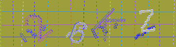 確認代碼