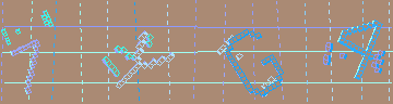確認代碼