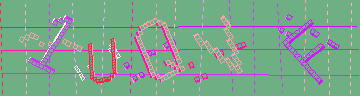 確認代碼