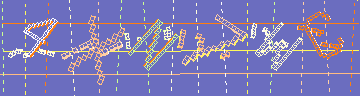 確認代碼