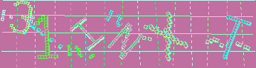 確認代碼