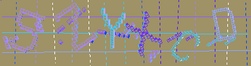 確認代碼