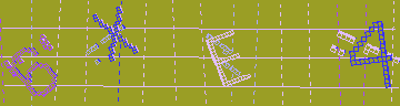確認代碼