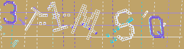 確認代碼