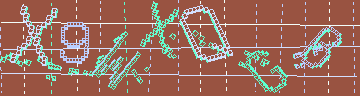 確認代碼