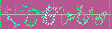 確認代碼
