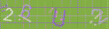 確認代碼
