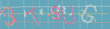 確認代碼