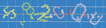 確認代碼