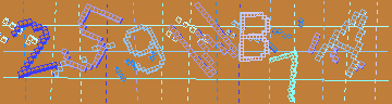 確認代碼
