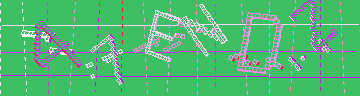 確認代碼