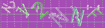 確認代碼