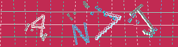 確認代碼