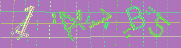 確認代碼