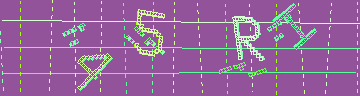 確認代碼