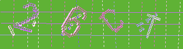 確認代碼