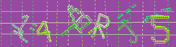 確認代碼