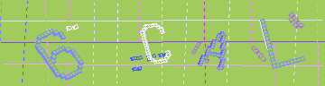 確認代碼