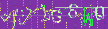 確認代碼