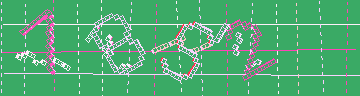 確認代碼