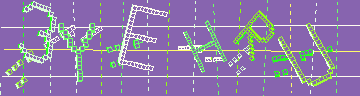 確認代碼
