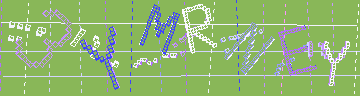 確認代碼