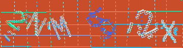確認代碼