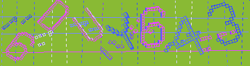 確認代碼