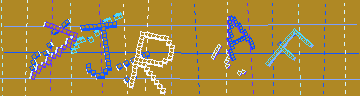 確認代碼
