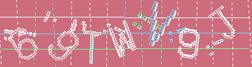 確認代碼