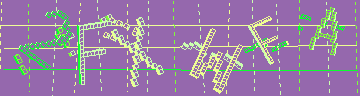 確認代碼