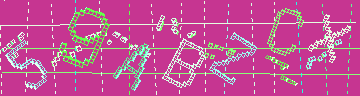 確認代碼