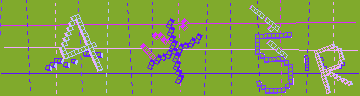 確認代碼