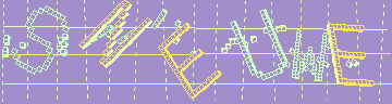 確認代碼