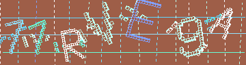 確認代碼