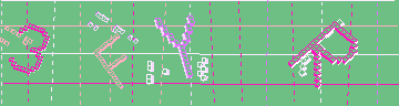 確認代碼