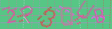 確認代碼