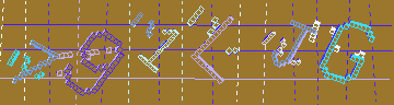確認代碼