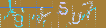 確認代碼