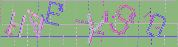 確認代碼