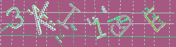 確認代碼