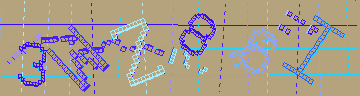 確認代碼