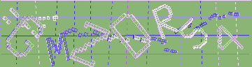 確認代碼