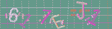 確認代碼