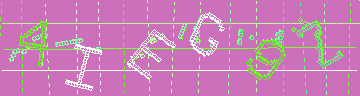 確認代碼