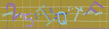 確認代碼