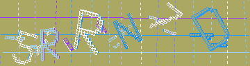 確認代碼