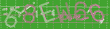 確認代碼