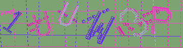 確認代碼